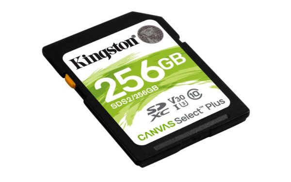 Kingston Technology Canvas Select Plus 256 GB SDXC UHS-I Klasse 10 - Afbeelding 3